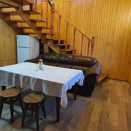 Ortus * Novoselitsa (Ivano-Frankivsk)