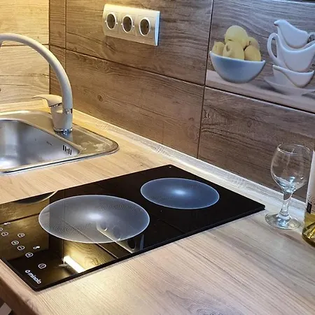 Villa Ortus Novoselitsa (Ivano-Frankivsk)