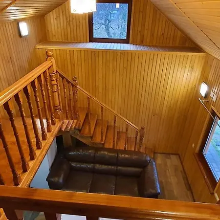 Ortus Novoselitsa (Ivano-Frankivsk)