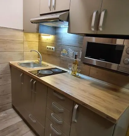 Ortus Villa Novoselitsa (Ivano-Frankivsk)