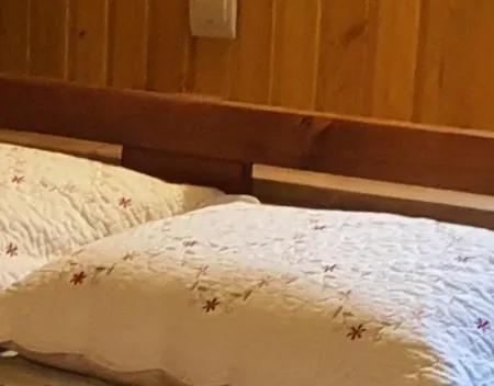 Ortus * Novoselitsa (Ivano-Frankivsk)