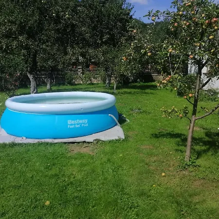 Ortus * Novoselitsa (Ivano-Frankivsk)