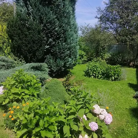 Ortus * Novoselitsa (Ivano-Frankivsk)