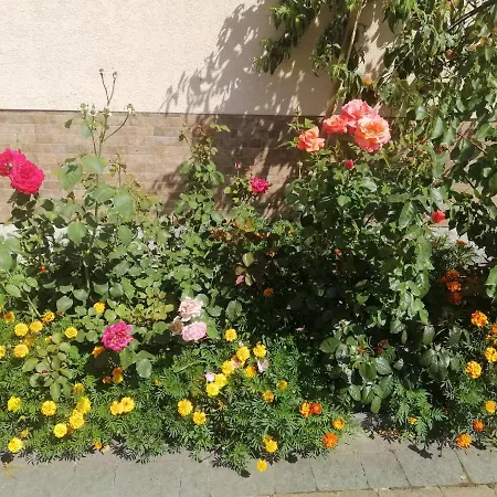 Villa Ortus Novoselitsa (Ivano-Frankivsk)