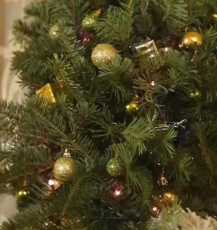 Ortus Villa Novoselitsa (Ivano-Frankivsk)