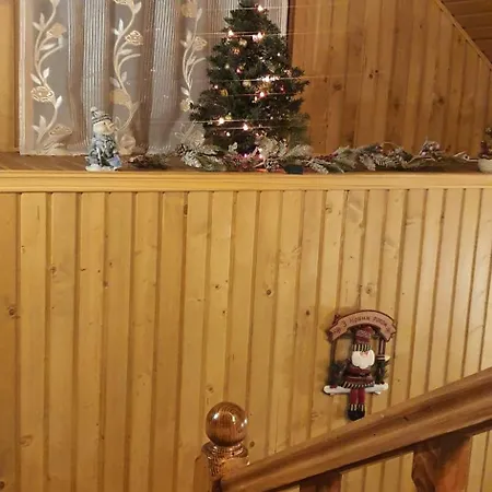 Ortus Novoselitsa (Ivano-Frankivsk)