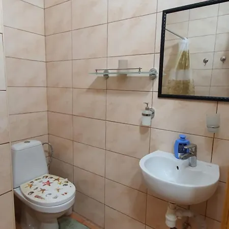 Villa Ortus Novoselitsa (Ivano-Frankivsk)