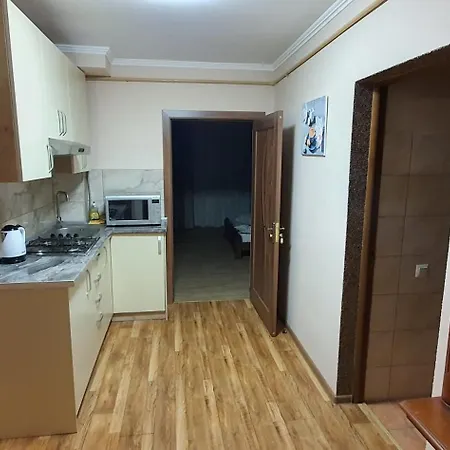 Ortus Novoselitsa (Ivano-Frankivsk)