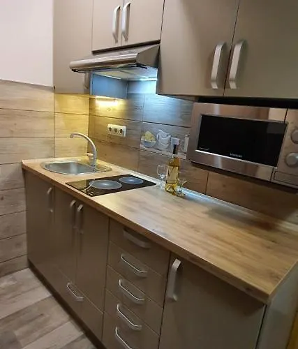 Ortus Villa Novoselitsa (Ivano-Frankivsk)