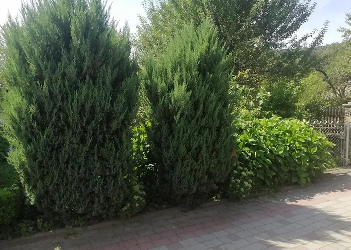 Villa Ortus *