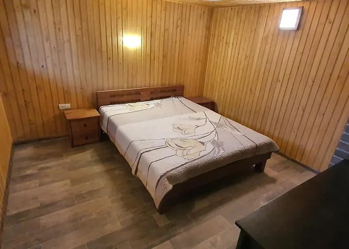 Ortus Villa Novoselitsa (Ivano-Frankivsk)