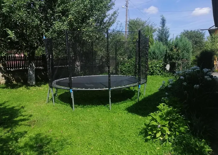 Ortus * Novoselitsa (Ivano-Frankivsk)