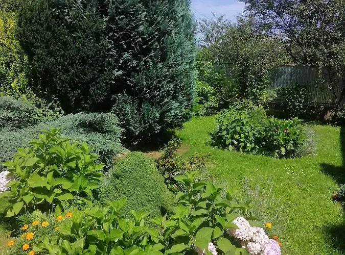 Ortus * Novoselitsa (Ivano-Frankivsk)
