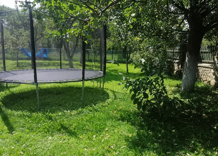 Ortus Novoselitsa (Ivano-Frankivsk)
