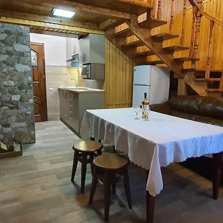 Ortus 别墅 Novoselitsa (Ivano-Frankivsk)