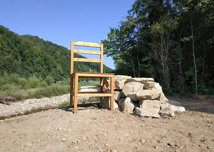 Ortus Novoselitsa (Ivano-Frankivsk)