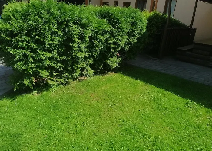 Willa Ortus Novoselitsa (Ivano-Frankivsk)